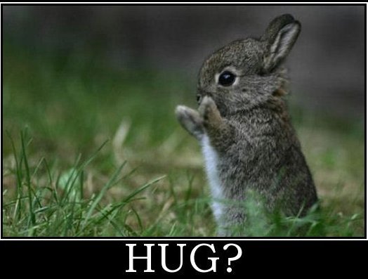 hug bunny.jpg