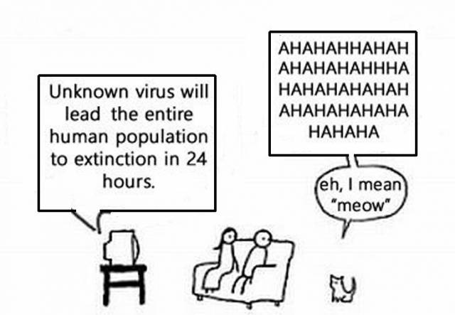 cat virus.jpg