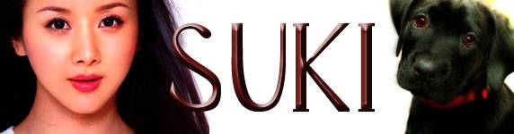 Su's Sig 4.jpg