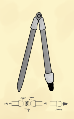 compass.png