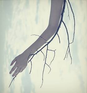 little_wing_by_rockpiti.jpg