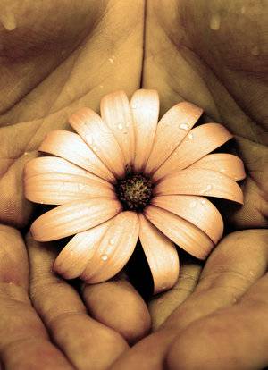 Little_Hope__by_Eileithyia.jpg
