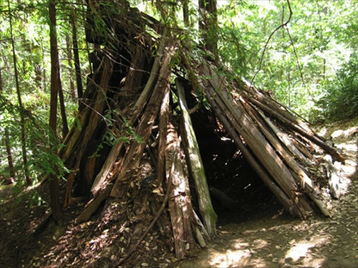 forward huts copy.png