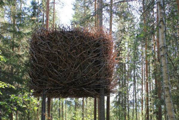 Eywaat's Roost.jpg