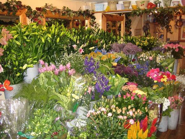 Scintillating Scents.jpg
