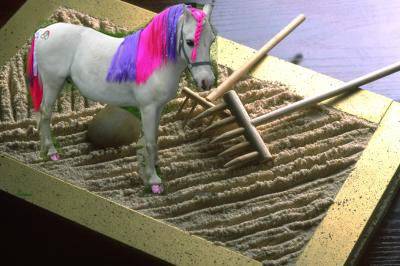 pony sand.jpg
