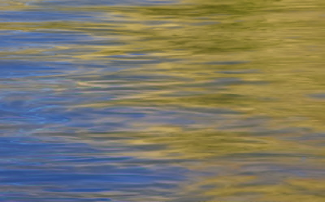 goldandblue.png
