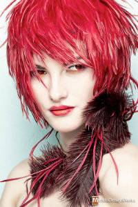 Aruna, Furs, Fins, and Feathers.jpg