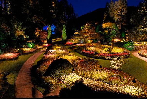 nightgarden.jpg
