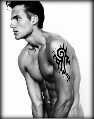 vantusmuscle copy.png