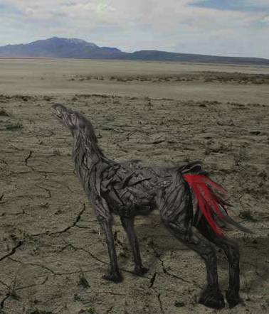 dog 2.jpg