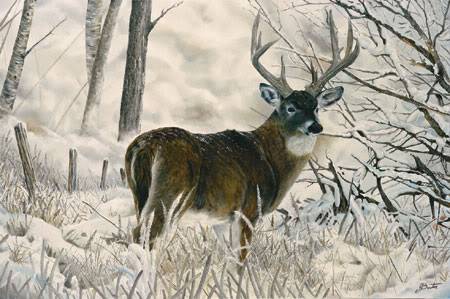 Hunter's Pride Deer.jpg