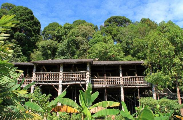 Typical Iban Longhouse.jpg