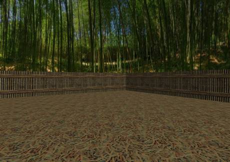 Canopy Training Arena.jpg