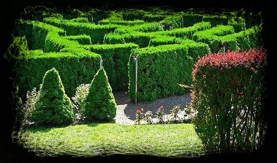 maze.jpg