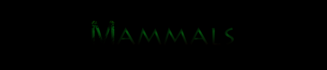 Mammals.png