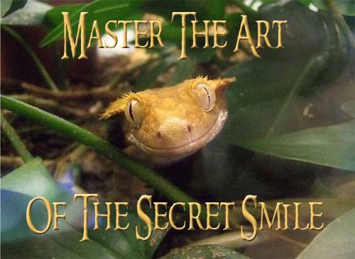 smile.jpg
