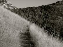 Autumn_mountain_trail.jpg