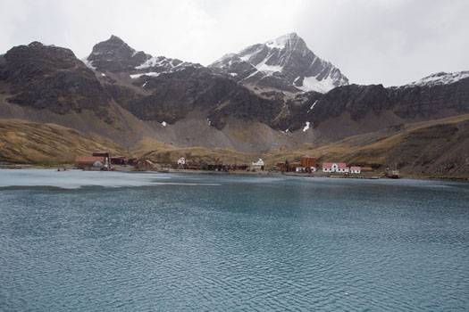 grytviken01.jpeg