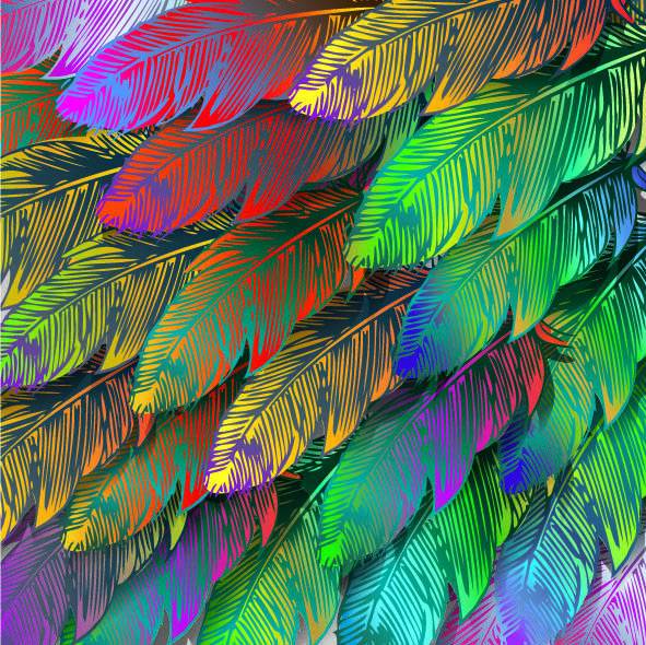 Feathers.jpg
