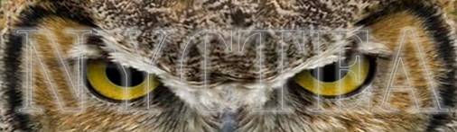 footer2.jpg