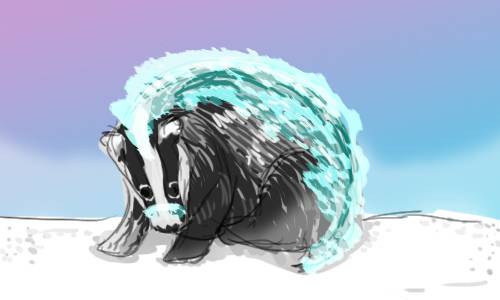 Stoneback Badger.jpg