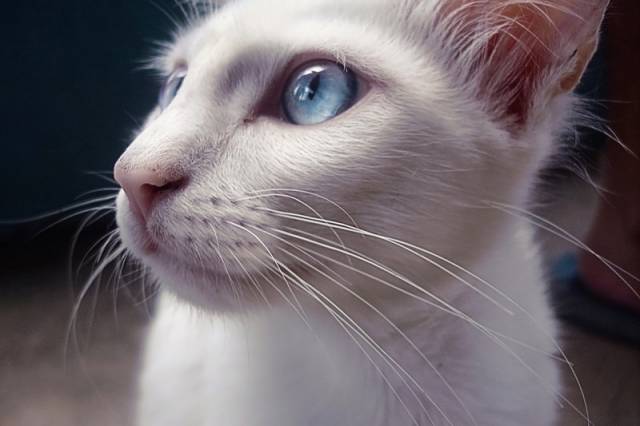 Open_your_eyes_by_caiodiniz1.jpg