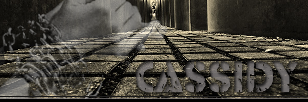 Cassidy Top.png