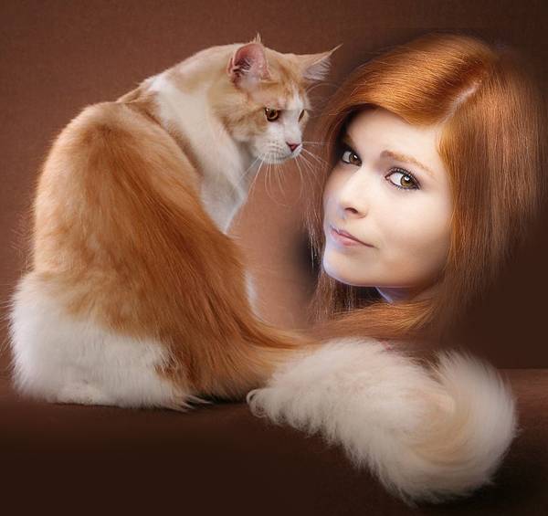 gingerkelvic.jpg