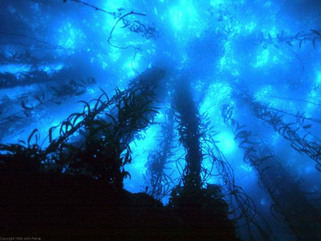 deep-blue-sea-Wallpapers.jpg