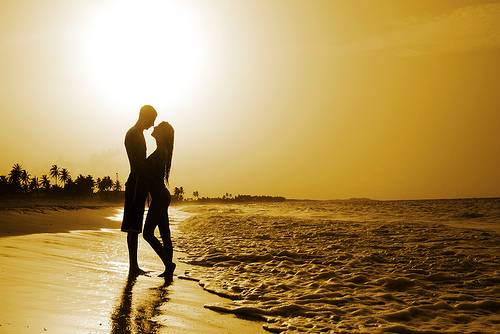 SunsetLovers(1).jpg