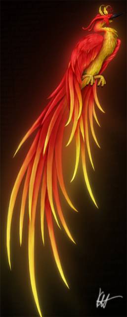 phoenix.jpg
