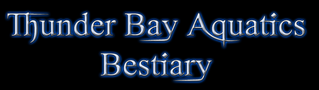 thunderbay.png