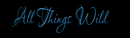 bannerallthings.png
