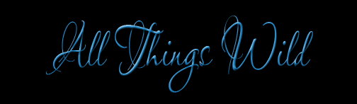 banner2.png