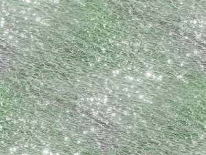 green_shimmer_300.jpg