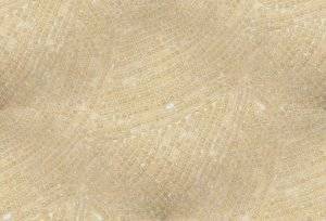 ivory_300_02.jpg
