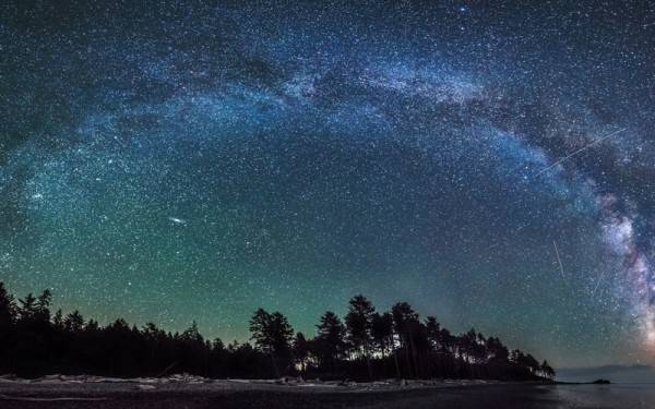stars forest fantasy art artwork night sky sea 1920x1200 wallpaper_www.wallpaperhi.com_34.jpg