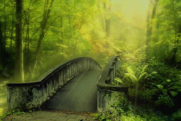 wishingbridgepic.png