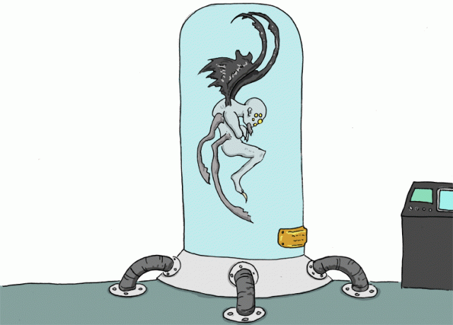 spider-bird-man.gif