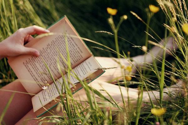buttercups in grass.jpg