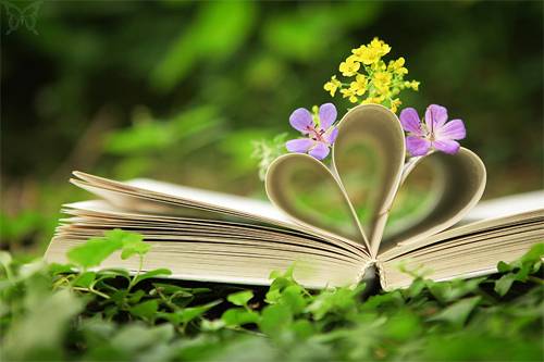 flowerybook.jpg