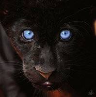 black_panther__by_erchivita-d563yad.jpg