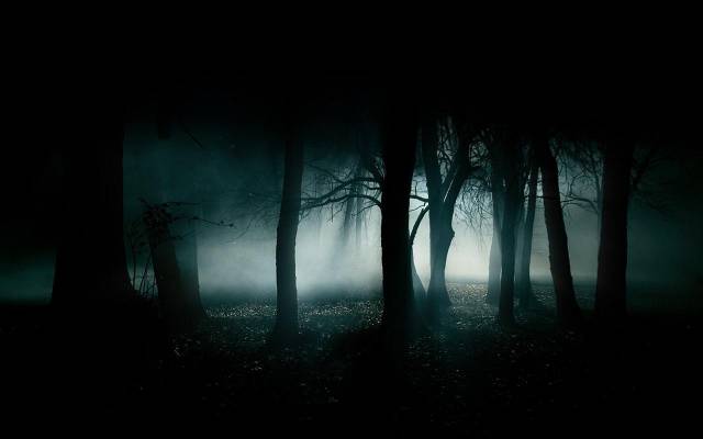 forest-dark-fog-dark-forest-wallpaper.jpg