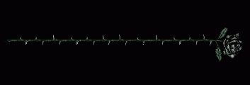 page-divider-012.gif