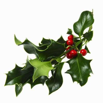 christmas-trivia-20.jpg