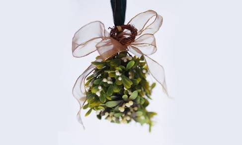 uses-for-mistletoe.jpg