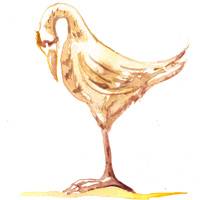sand peckers.jpg