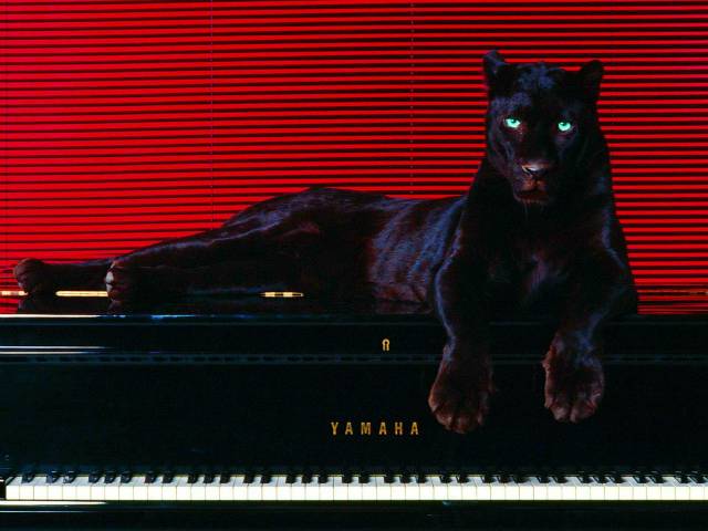BeFunky_Black Panther on Piano.jpg