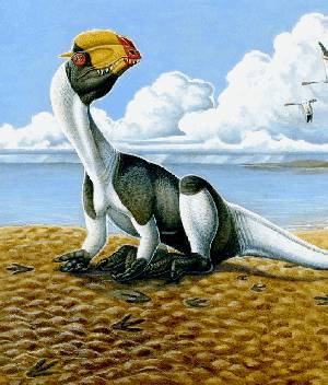 20090307_dinosaurs.jpg